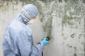 Best Air Quality Testing for Mold Spores  in Lena, IL